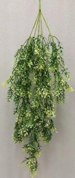 Creeper Eucx3 Med L 80CM W 30CM